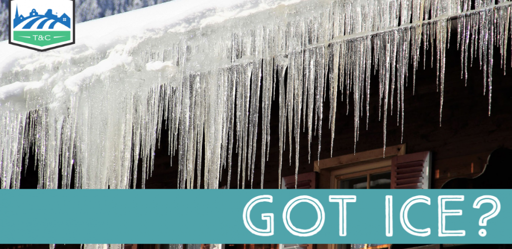 Got Ice? Tips on Dealing with Ice Dams